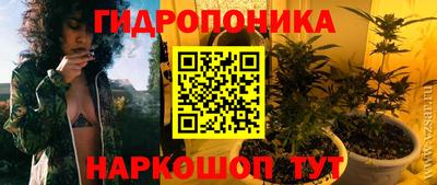 твердый Будённовск
