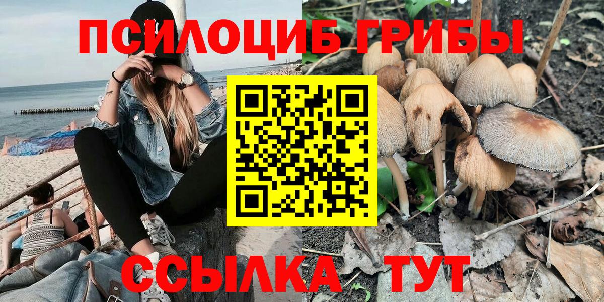 Псилоцибиновые грибы MAGIC MUSHROOMS  Галлюциногенные грибы GOLDEN TEACHER  Североуральск  Вход с VPN 