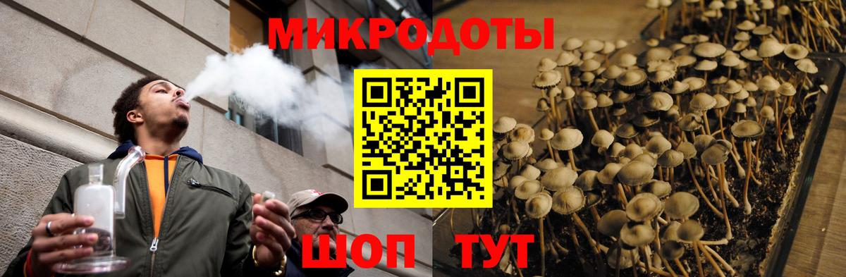 Псилоцибиновые грибы Psilocybe Североуральск